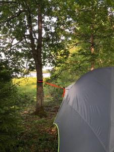 Tree-tent overlooking lake in private woodland