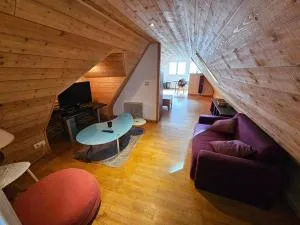 Les toits de Pau - hypercentre - 于佐