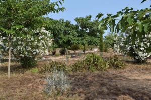 Sa Riba, Country house in Mallorca
