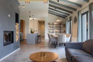 Modern villa Lukas with pool in Vizinada