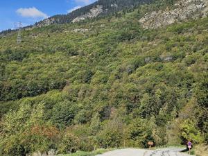 Appartements Les 3 Vallees - Hameau des eaux d'Orelle - Appartement 003 : photos des chambres