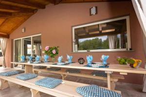 Activity villa Perhat with pool in Visnjan 