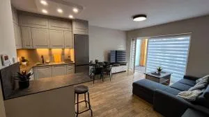Apartament Lublin Centrum "Singapura cat" - Швіднік