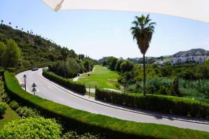 Joya de Las Jacarandas