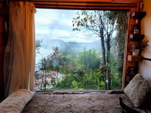 Romantic house on a pine hill Dalat