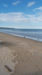 BEACH LIFE UPPUVELI