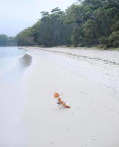 Beachside Haven - Your Perfect Oasis Home