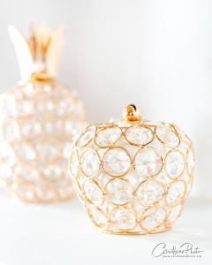 Paradise Dream Dominicus