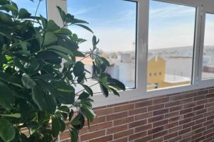 Vintage & Deluxe Apartments