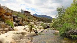 The Trout Pod - Lochlynne