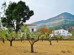 El Pino B & B, Chera - Chera