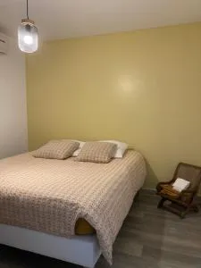 Ananas appart - Bois de Nèfles