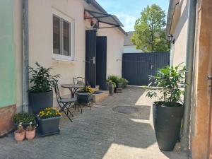 Ferienwohnung Strohblume