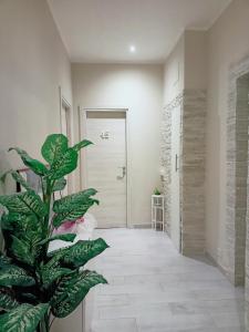 Affittacamere Rizzoli