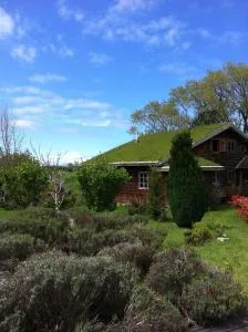 Hostal Zapato Amarillo - 奥索尔诺