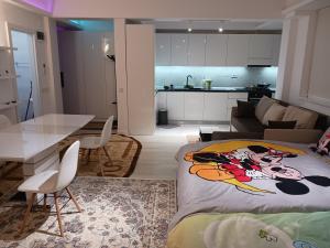 Myky Mouse nu primesc santieristi si petrecareti