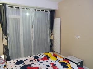 Myky Mouse nu primesc santieristi si petrecareti