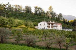 Sette Fiori Luxury Apartments