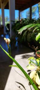 LA CASITA DE CANDELARIA