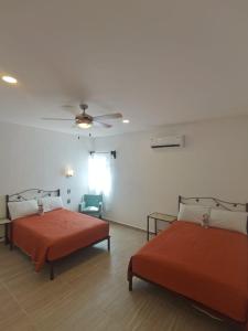 Valparaíso Selva Maya