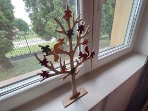 Holiday home in Siofok - Balaton 45810