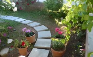 Apartment in Primosten - Sibenik Riviera 45759