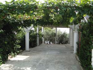 Apartment in Primosten - Sibenik Riviera 45762