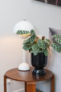 Sage Haven - Laidback St Kilda Beach Living