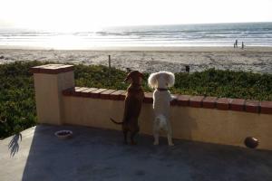 CASA MARBELLA 2BR 1BA Private Beach-Front Home