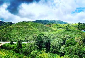 Hill Monk - Bethany Heights