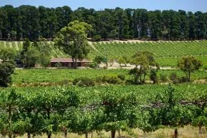 Picturesque Vineyard Farmhouse Nestled on 40-Acres - Kangarilla