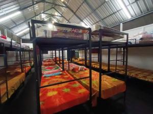 Ventos Tent Stay and Aframes