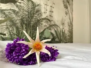 Studio Bielawa u podnóża Gór Sowich - 杰尔若纽夫