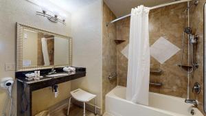 1 King Bed, Mobility/Hearing Accessible Room, First Floor, Non-Smoking room in Days Inn by Wyndham Orlando Downtown