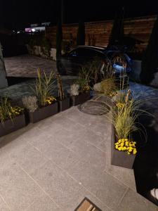 Haus Eichkogel Guntramsdorf