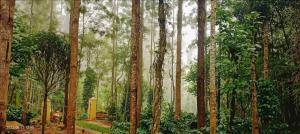 SP cottage&home stay