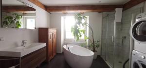 Exklusive LOFT-Wohnung, nur 30 Min von Zürich