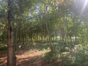 Sejours a la campagne Aux petits bois : photos des chambres