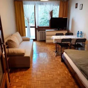 Mieszkanie na Mickiewicza 7 - Golczowice