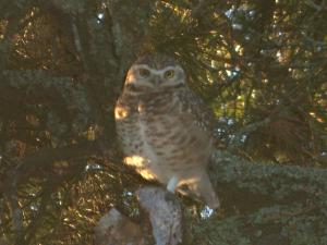 La Reserva Natural Chalet