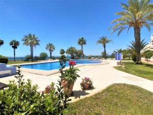 Spanish Connection - Puerto Latino