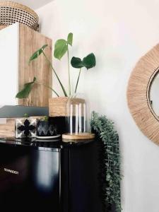 Appartements STUDIO COSY PROCHE DISNEY : photos des chambres