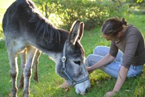 Ferienstadl - Hammerau