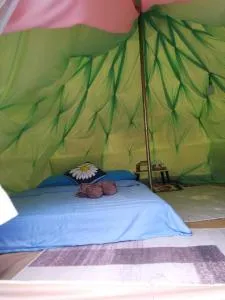 กระโจมหวาน - Ban Pa Daeng