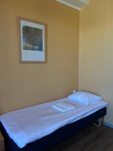 Single Room room in Center Hotel