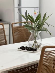 Departamento microcentro Salta 25 de mayo