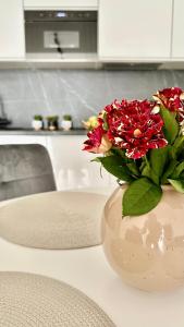 Apartament Elegant 2