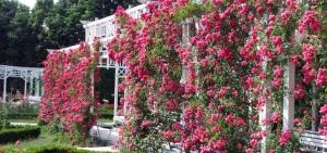 Rozelor Accommodation