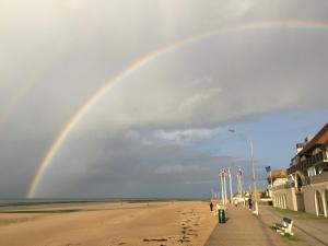Maisons de vacances Les Volets Bleus-Charmante maison entierement equipee face a la mer pour 2 a 6 personnes : photos des chambres