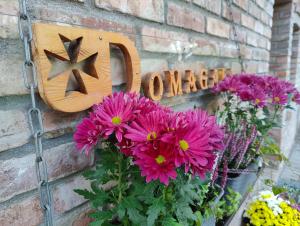 DOMAGAŁA domek całoroczny